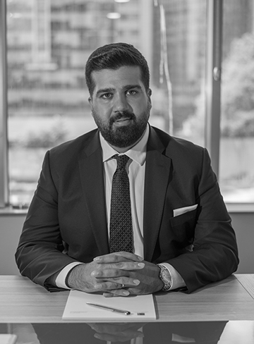 Almanca konuşan avukat